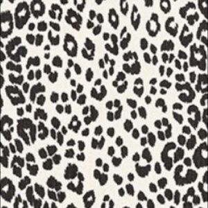 Meet your Posher, Jinger